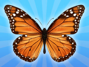 Read more about the article MergeButerfly: 2048!