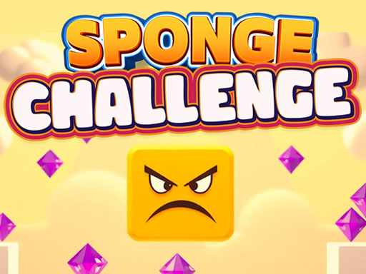 Read more about the article Sponge Challenge