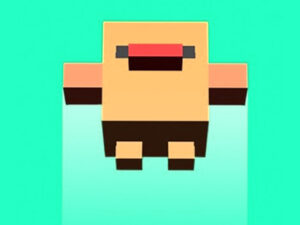 Read more about the article Flap Up